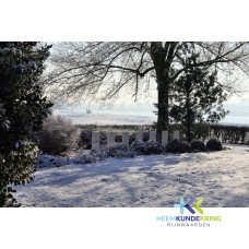 winter 2009 Bijland begraafplaats-1